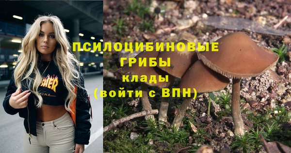 СК Волосово