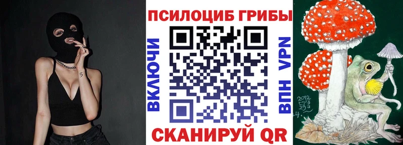 Псилоцибиновые грибы мицелий  Лобня 